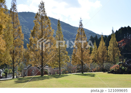 冠岳花川砂防公園の紅葉 冠岳花川砂防公園の紅葉 121099695