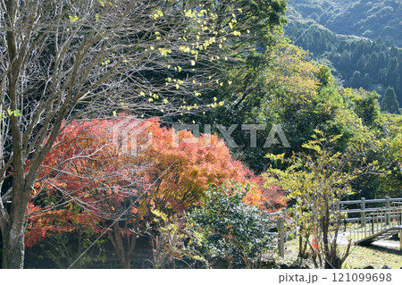 冠岳花川砂防公園の紅葉 冠岳花川砂防公園の紅葉 121099698