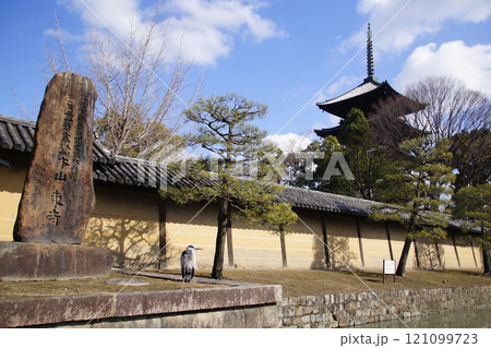 京都府 東寺・寺号碑 & 五重塔(国宝) 京都市 南区 九条町 2022年2月 京都府 東寺・寺号碑 & 五重塔(国宝) 京都市 南区 九条町 2022年2月 121099723
