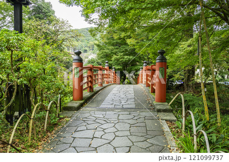 伊豆修善寺　楓橋　静岡県伊豆市 121099737