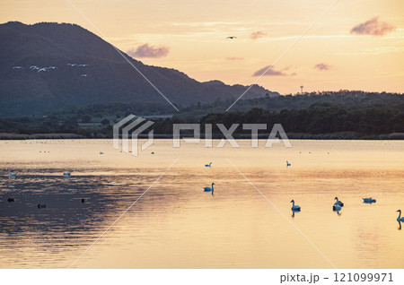 新潟　日没後の佐潟 121099971