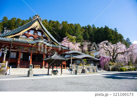 祖師堂と枝垂れ桜 121100173