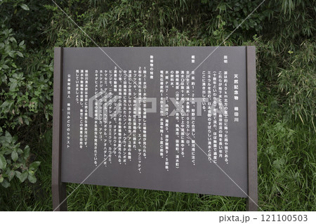 柿田川公園 柿田川案内板 静岡県清水町 柿田川公園 柿田川案内板 静岡県清水町 121100503