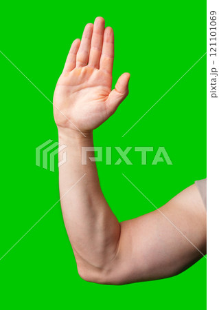Hand raised against a vibrant green background Hand raised against a vibrant green background 121101069