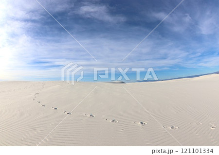 ホワイトサンズ国立公園の景色  121101334