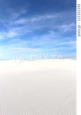 ホワイトサンズ国立公園の景色  121101348