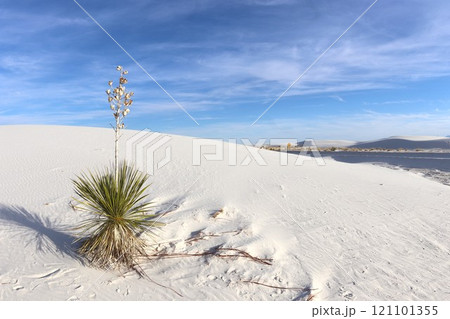 ホワイトサンズ国立公園の景色  121101355
