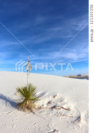 ホワイトサンズ国立公園の景色  121101356