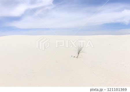 ホワイトサンズ国立公園の景色  121101369