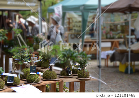 Flea market in early spring / 早春のフリーマーケット会場の様子 121101469