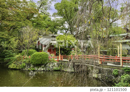 三嶋大社 厳島神社 静岡県三島市 三嶋大社 厳島神社 静岡県三島市 121101500