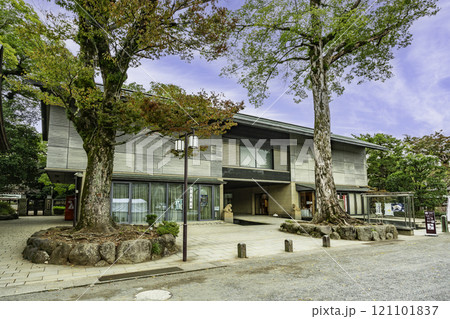 三嶋大社　御本殿　静岡県三島市 121101837