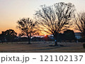 朝日がのぼる冬の公園 121102137