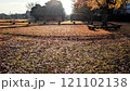 公園の落ち葉　冬の公園 121102138