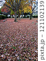 公園の落ち葉　冬の公園 121102139