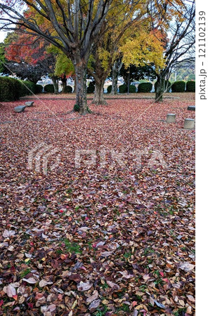 公園の落ち葉　冬の公園 121102139