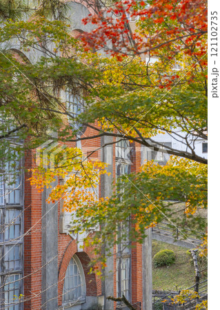 秋の京都　黄葉したイチョウの木と第2期蹴上発電所 121102735