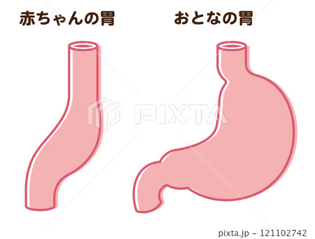 赤ちゃんの胃のサイズ、Baby Stomach 121102742