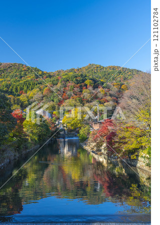 秋の嵐山　大堰川分流の中ノ島橋からの風景 121102784