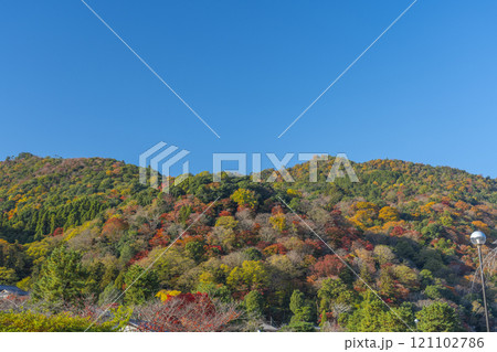 嵐山公園中之島地区からの紅葉 嵐山公園中之島地区からの紅葉 121102786