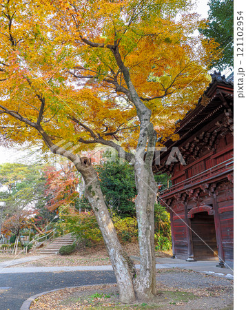 紅葉に包まれた鐘楼 121102954