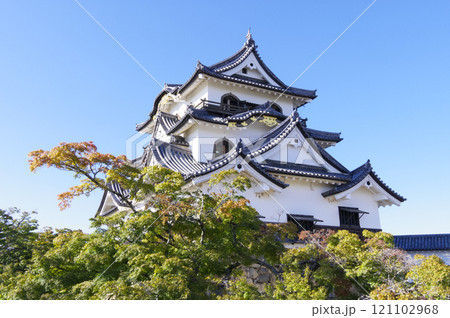 彦根城天守 彦根城天守 121102968