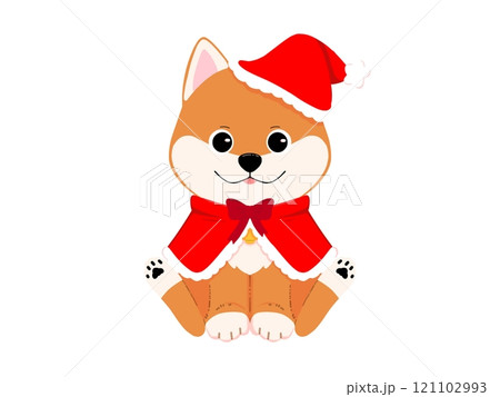 サンタの帽子をかぶった柴犬1/2 サンタの帽子をかぶった柴犬1/2 121102993