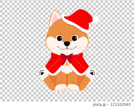 サンタの帽子をかぶった柴犬1/2 サンタの帽子をかぶった柴犬1/2 121102993