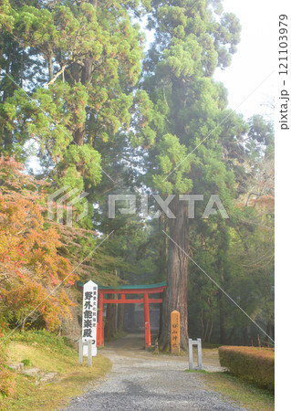 秋の朝　中尊寺　もやに浮かぶ白山神社門杉　岩手県 121103979
