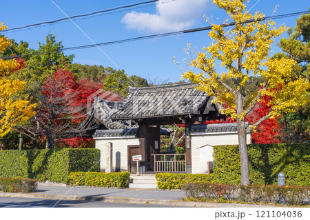 秋の京都　法金剛院　紅葉に包まれた​表門 121104036