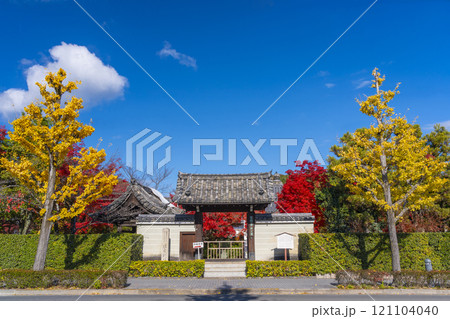 秋の京都 法金剛院 紅葉に包まれた表門 秋の京都 法金剛院 紅葉に包まれた表門 121104040