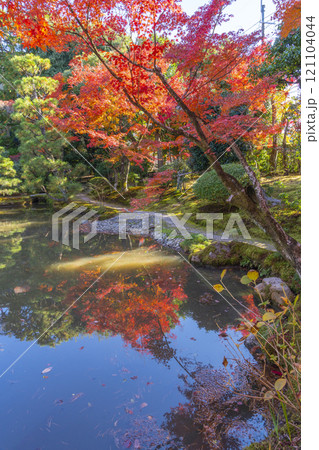 秋の京都　法金剛院庭園　苑池に移る紅葉 121104044