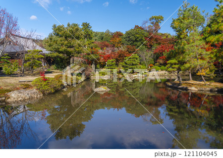 秋の京都　法金剛院庭園　苑池に移る紅葉 121104045