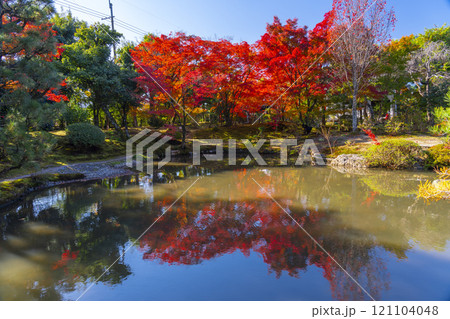 秋の京都 法金剛院庭園 苑池に移る紅葉 秋の京都 法金剛院庭園 苑池に移る紅葉 121104048