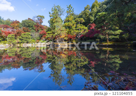 秋の京都　法金剛院庭園　苑池に移る紅葉 121104055