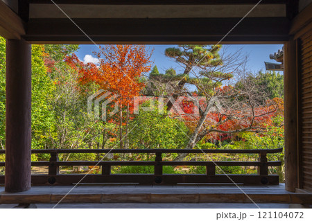 秋の京都　法金剛院庭園　礼堂から見える紅葉に包まれた庭園 121104072
