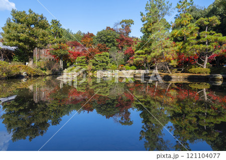 秋の京都　法金剛院庭園　苑池に移る紅葉 121104077