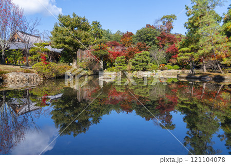 秋の京都　法金剛院庭園　苑池に移る紅葉 121104078