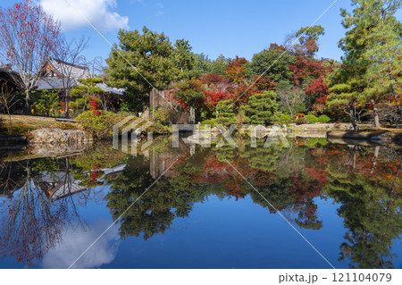 秋の京都 法金剛院庭園 苑池に移る紅葉 秋の京都 法金剛院庭園 苑池に移る紅葉 121104079