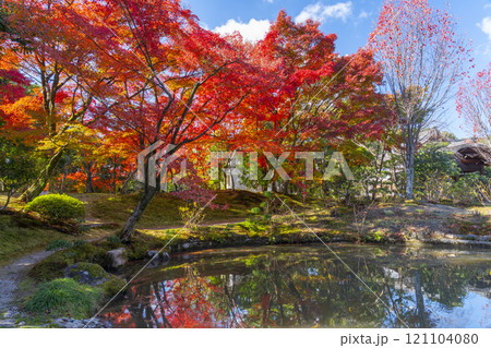 秋の京都　法金剛院庭園　苑池に移る紅葉 121104080