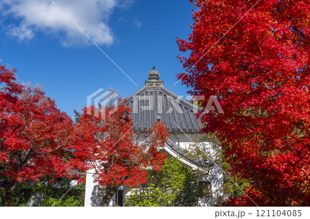 秋の京都 法金剛院 紅葉に包まれた経蔵 秋の京都 法金剛院 紅葉に包まれた経蔵 121104085
