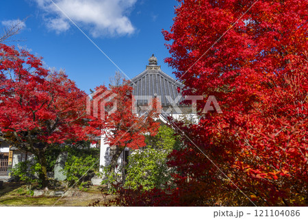 秋の京都　法金剛院　紅葉に包まれた経蔵 121104086