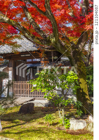 秋の京都　法金剛院　紅葉に包まれた​中門 121104087