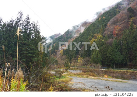 遠山郷の秋の溪谷と枯れすすき 遠山郷の秋の溪谷と枯れすすき 121104228