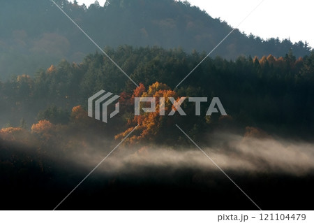 朝霧と紅葉 朝霧と紅葉 121104479
