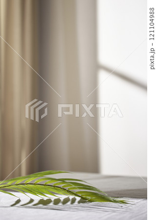 Warm sunlight streaming in through the window, beige background, flowers, vases, and a table with plants. Harmony of light and shadow. 121104988