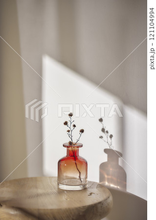 Warm sunlight streaming in through the window, beige background, flowers, vases, and a table with plants. Harmony of light and shadow. Warm sunlight streaming in through the window, beige background, flowers, vases, and a table with plants. Harmony of light and shadow. 121104994