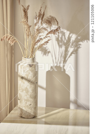 Warm sunlight streaming in through the window, beige background, flowers, vases, and a table with plants. Harmony of light and shadow. Warm sunlight streaming in through the window, beige background, flowers, vases, and a table with plants. Harmony of light and shadow. 121105006