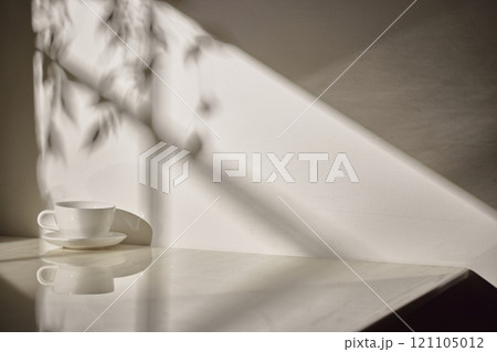 Warm sunlight streaming in through the window, beige background, flowers, vases, and a table with plants. Harmony of light and shadow. Warm sunlight streaming in through the window, beige background, flowers, vases, and a table with plants. Harmony of light and shadow. 121105012