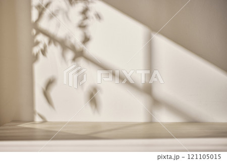 Warm sunlight streaming in through the window, beige background, flowers, vases, and a table with plants. Harmony of light and shadow. 121105015